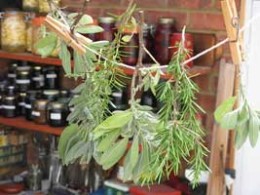 preparation of herbs
